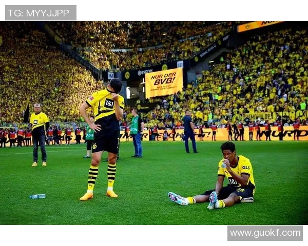 德国足球明星拜仁的辉煌历程与未来展望解析