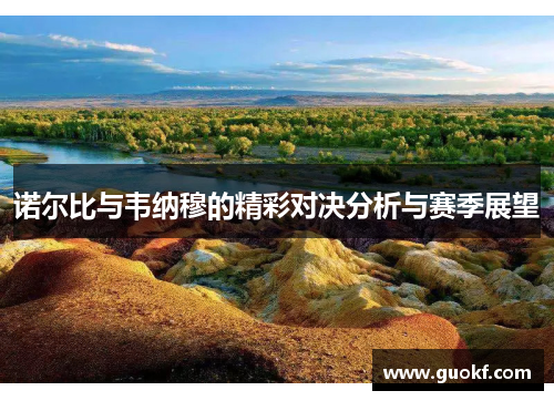 诺尔比与韦纳穆的精彩对决分析与赛季展望